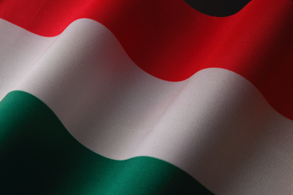 Mađarska ponovo pokrenula kontroverzni program zlatnih viza